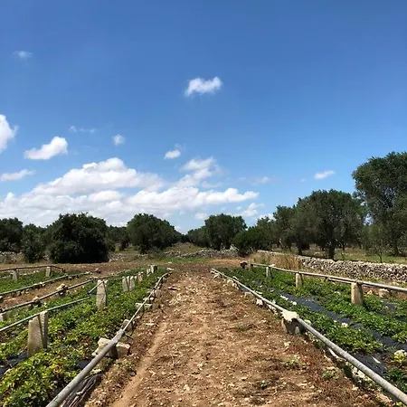 Masseria Berzario *